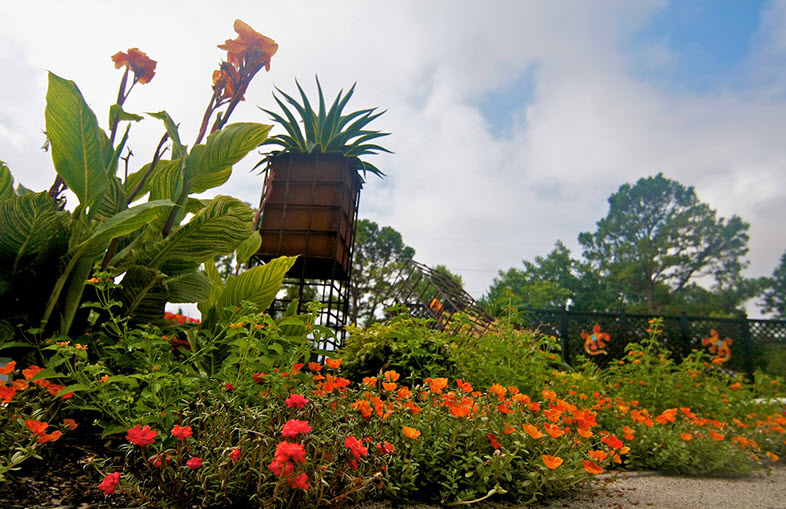 The Botanic Garden at Oklahoma State University, United States